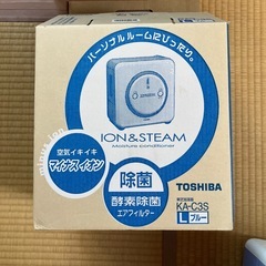 東芝　イオン&スチーム
の画像