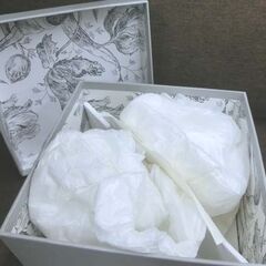 美品 フランス ジアン カップ＆ソーサー ２客 箱付き GIEN Alice V,Ray 陶器 Made in France 札幌 西野店