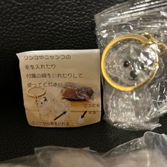 トイプードルの毛玉入れの画像