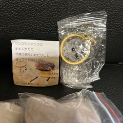 トイプードルの毛玉入れの画像