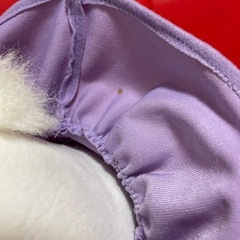 デイジー　フォトフレーム付きぬいぐるみの画像