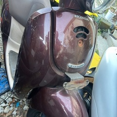 ★無料配送★静岡★HONDA Giorno★50cc 原付★の画像