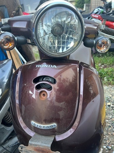 ★無料配送★静岡★HONDA Giorno★50cc 原付★