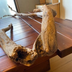 流木の画像