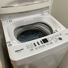 【美品・動作良好】Haier ハイアール 全自動洗濯機 HW-T55D 5.5kg 一人暮らしに最適✨ の画像