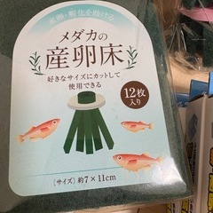 めだか産卵セットの画像
