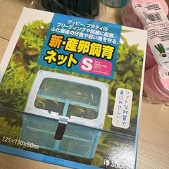 めだか産卵セットの画像