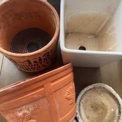 植木鉢　セット　素焼き　テコラッタ　陶器　の画像