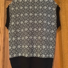 レディースベストの画像