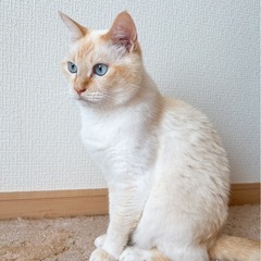 里親探してます！！