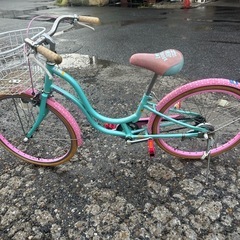 自転車4820(子供用)の画像