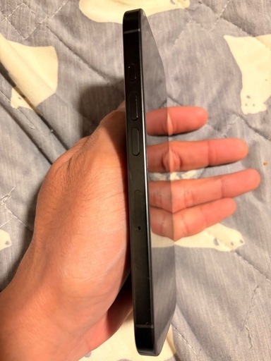 Apple iPhone 16Pro チタニウムブラック本体　ケース有
