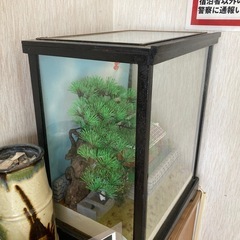 琉球家屋の置物（インテリア）の画像