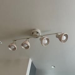 シーリングライト＋LED電球4つの画像