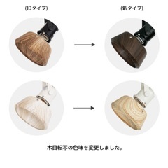 シーリングライト＋LED電球4つの画像