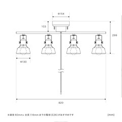 シーリングライト＋LED電球4つの画像
