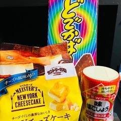 【かな様】本日〜【2,500円】