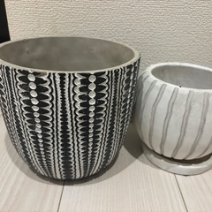 鉢の画像
