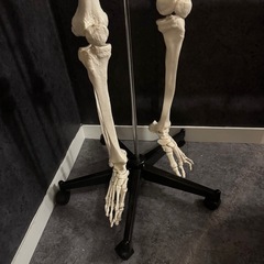 人体模型 約170cm 可動式関節付きの画像