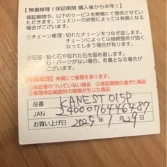 新品　Viju ビジュー　ピアス　ネックレス　ダイヤの画像