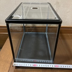 水槽(プラスチック)の画像