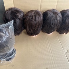 カットウィッグx10個、中古、美容師学校、カットモデル！の画像
