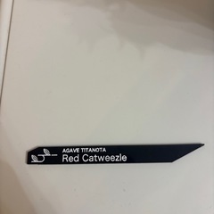 アガベ　Red Catweezleの画像