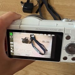 sonya5100
の画像