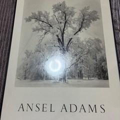 絵画 ANSEL ADAMSの画像