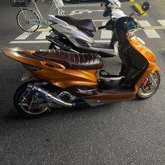 シグナスの画像
