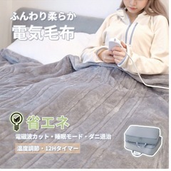 電気毛布　タイマー機能あり　収納ケース付の画像