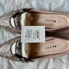 新品未使用Dianaダイアナポインテッドトゥ グリッターフラットシューズ24cmの画像