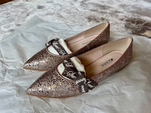 新品未使用Dianaダイアナポインテッドトゥ グリッターフラットシューズ24cm