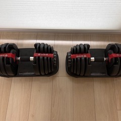 ダンベル 可変式 24kg×2個セット アジャスタブルGronG（グロング）　可変式ダンベル 可変ダンベル 可変式ダンベル 筋トレ　Grong　の画像