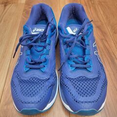 アシックス asics GT-2000 NEWYORK 6の画像