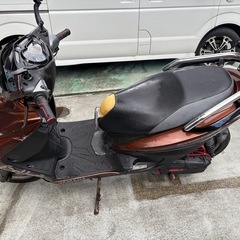 シグナスの画像