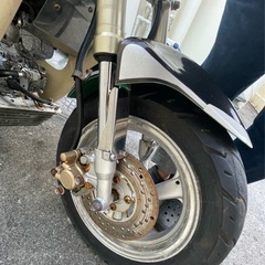 カブの画像