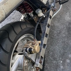 カブの画像