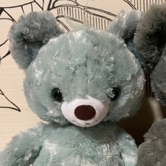 ディズニー　ユニベアシティ　パイレーツオブカリビアン　ソルト　グリーペパーの画像
