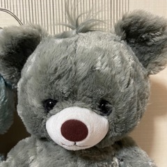 ディズニー　ユニベアシティ　パイレーツオブカリビアン　ソルト　グリーペパーの画像