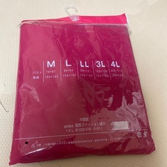 レディースTシャツ Lサイズ　未開封品の画像