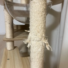キャットタワーの画像