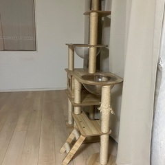 キャットタワーの画像