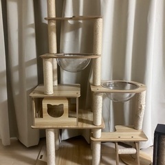 キャットタワーの画像