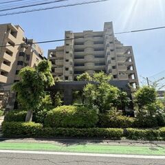 🏡リノベ済　100㎡越え3LDK再生マンション　中央区荒戸🏡