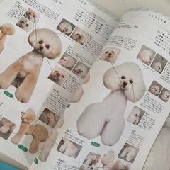 トリミング雑誌trimとtrimlandの6冊セットですの画像