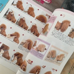 トリミング雑誌trimとtrimlandの6冊セットですの画像