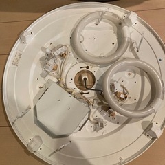 ライトの画像