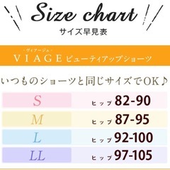 新品 未開封品　ヴィアージュショーツダークブルー✖️グレー 　LLサイズ
の画像