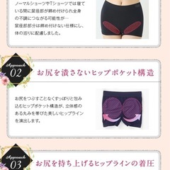 新品 未開封品VIAGE  ショーツ パープルLサイズの画像